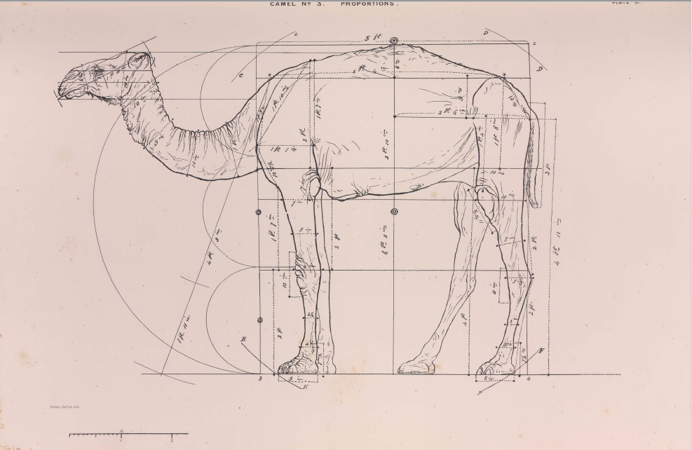 Screenshot 2020-08-26 at 15.45.55