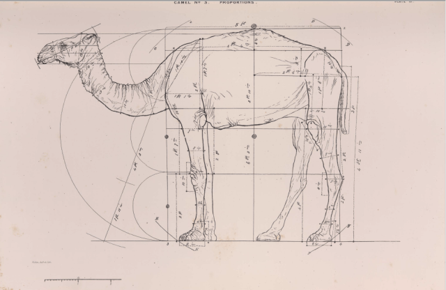 Screenshot 2020-08-26 at 15.45.55