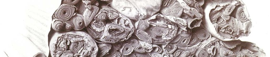 bundle of manuscripts